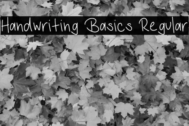 Handwriting Basics Regular Font examples