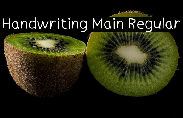 Handwriting Main Regular Example 3