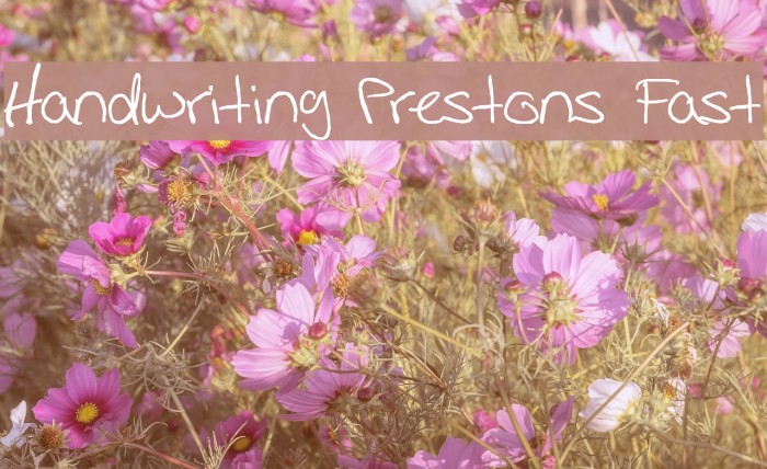 Handwriting Prestons Fast Font examples