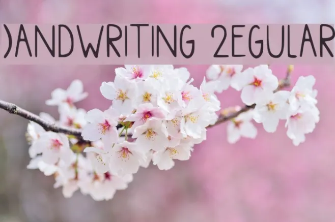 Handwriting Regular Example 2