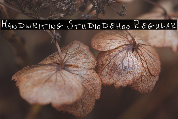 Handwriting Studiodehoo Regular Example 1