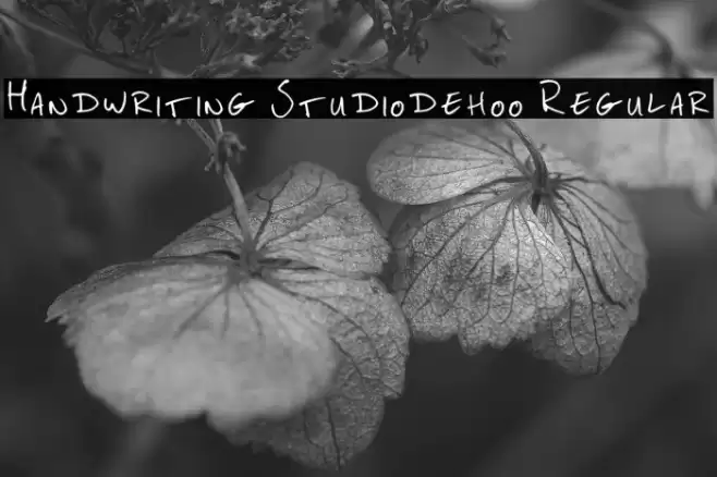 Handwriting Studiodehoo Regular Font examples