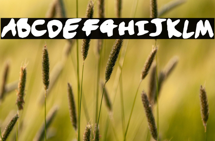 Handwriting Example 1