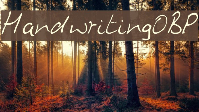 HandwritingOBP Example 1