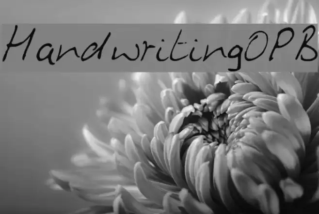 HandwritingOPB Font examples