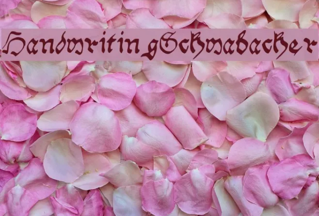 Handwriting_Schwabacher Example 2