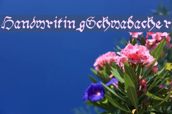 Handwriting_Schwabacher Example 3