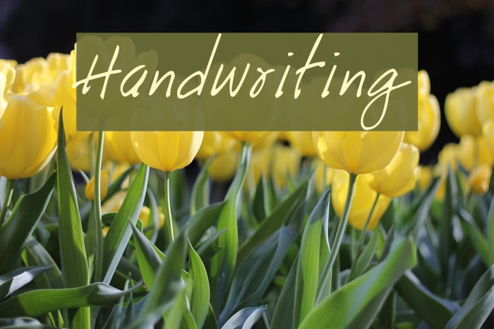 handwriting-font-ffonts