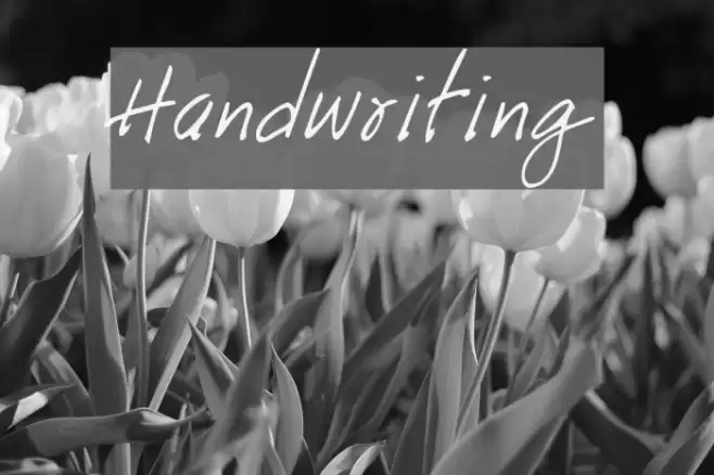 Handwriting Font examples