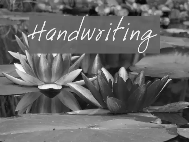 Handwriting Font examples