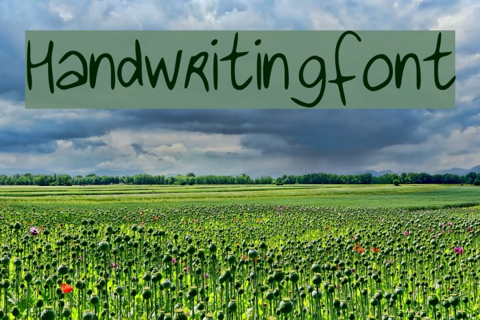 Handwritingfont Font examples