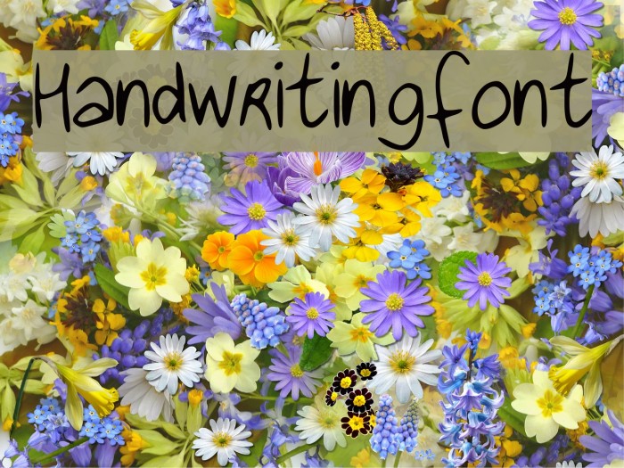 Handwritingfont Font examples