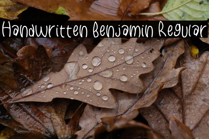 Handwritten Benjamin Regular Example 1