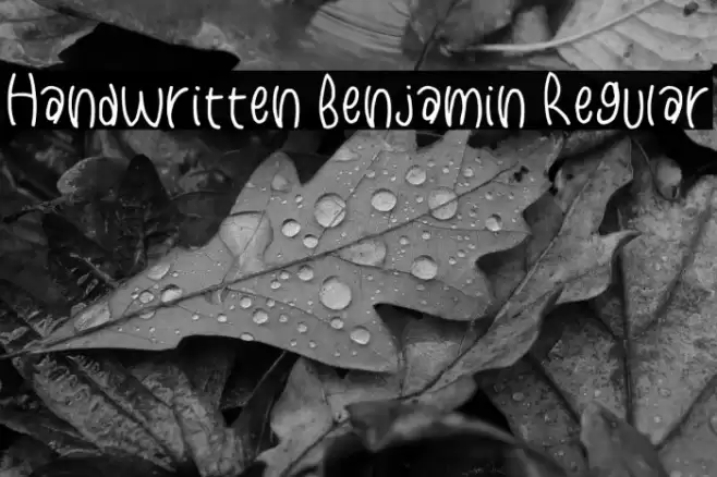 Handwritten Benjamin Regular Font examples