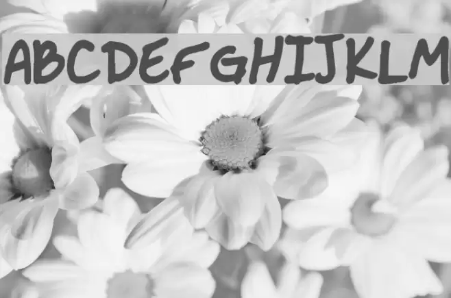 Handwritten Crystal v2 Font examples