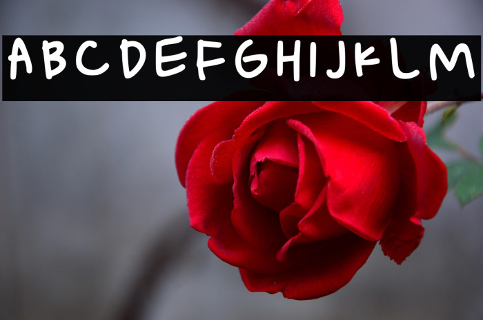 Handwritten Doodles Regular Example 2