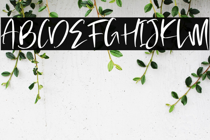 Handwritten Dreams Example 3