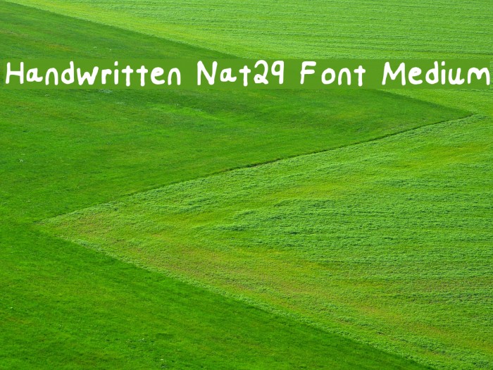 Handwritten Nat29 Font Medium Font examples