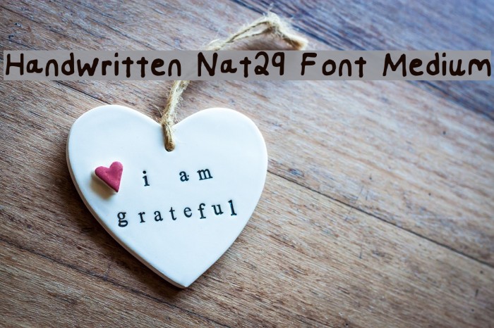 Handwritten Nat29 Font Medium Font examples