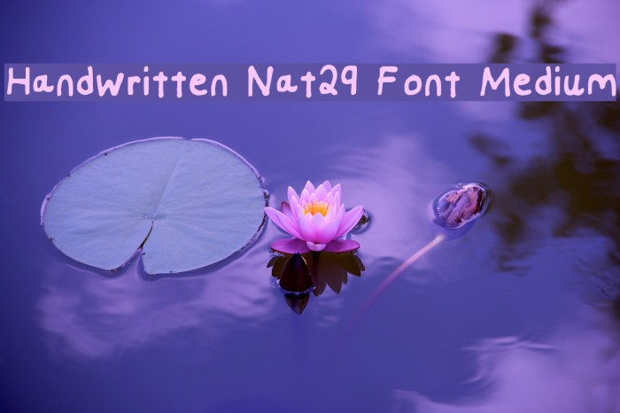 Handwritten Nat29 Font Medium Font examples