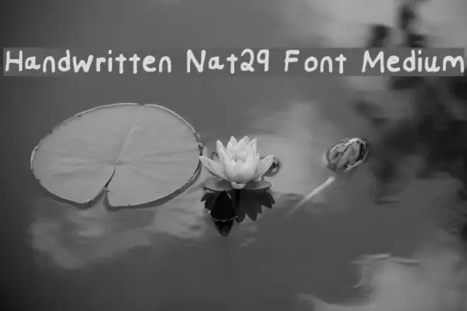 Handwritten Nat29 Font Medium examples