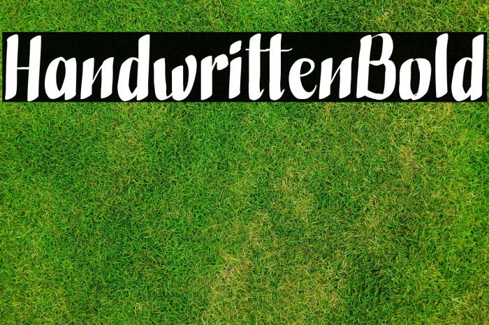 HandwrittenBold Example 2