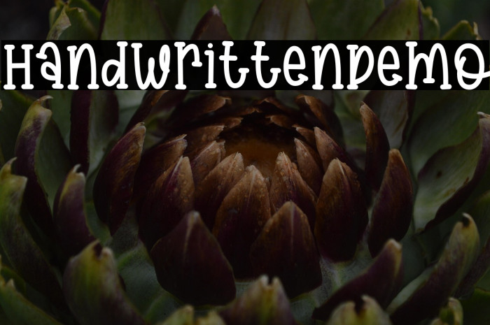 HandwrittenDemo Example 1