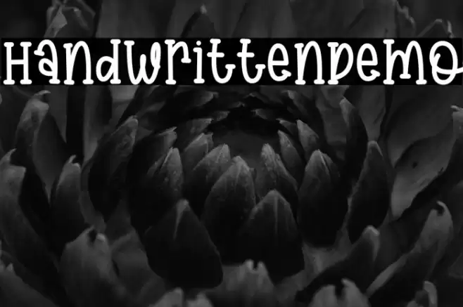 HandwrittenDemo Font examples