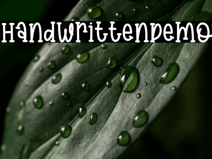 HandwrittenDemo Example 2