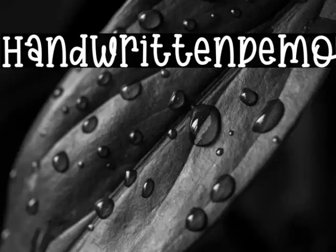 HandwrittenDemo Font examples