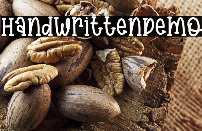 HandwrittenDemo Example 3