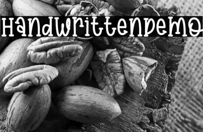 HandwrittenDemo Font examples