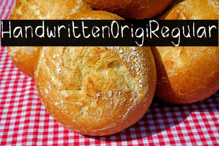 HandwrittenOrigiRegular Example 3