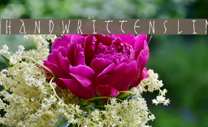 HandwrittenSlim Font examples