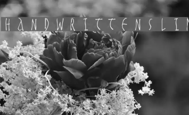 HandwrittenSlim Font examples