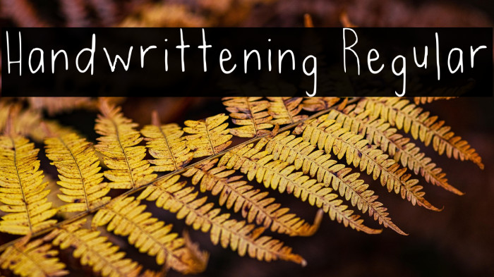 Handwrittening Regular Example 1