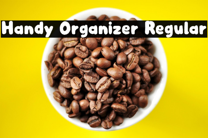 Handy Organizer Regular Example 1