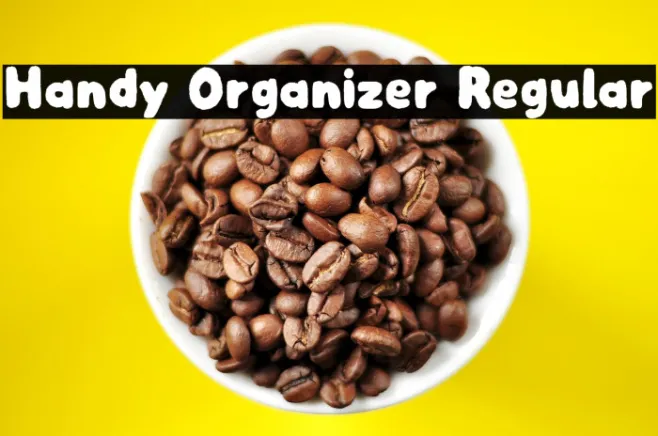 Handy Organizer Regular Example 1