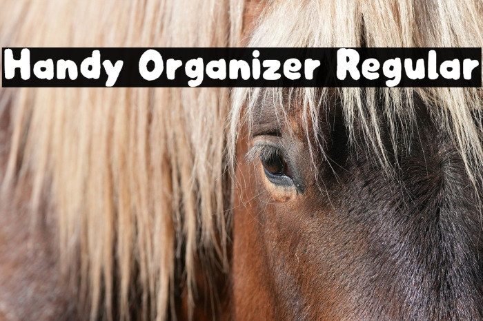 Handy Organizer Regular Example 2