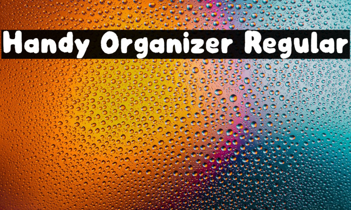 Handy Organizer Regular Example 3