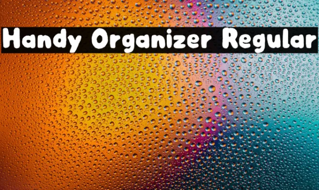 Handy Organizer Regular Example 3