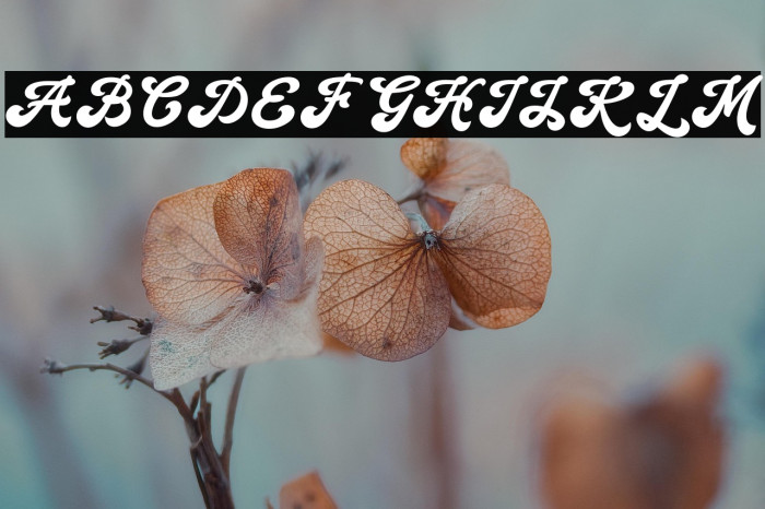 Handy Script Example 2