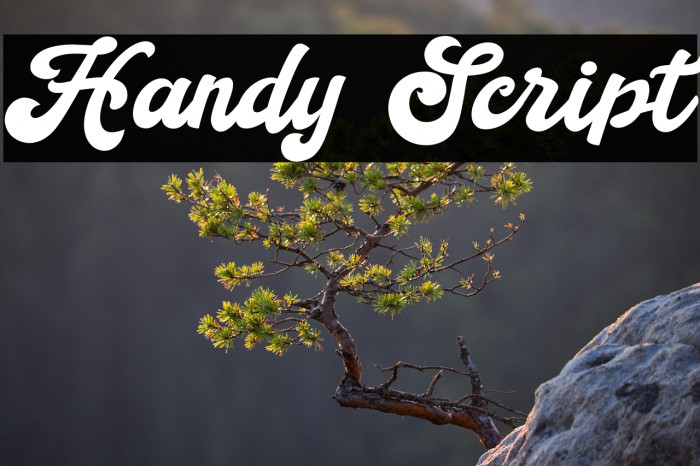 Handy Script Example 2