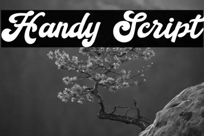 Handy Script Font examples