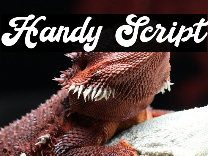 Handy Script Example 3