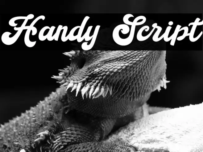 Handy Script Font examples