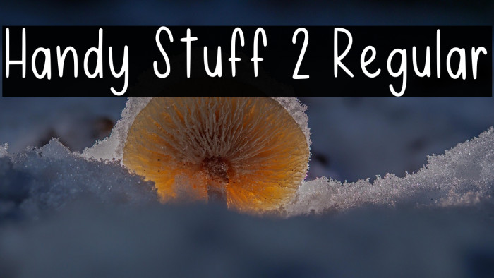 Handy Stuff 2 Regular Example 3