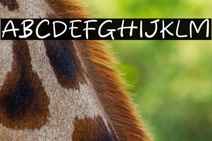 Handy Times Example 2