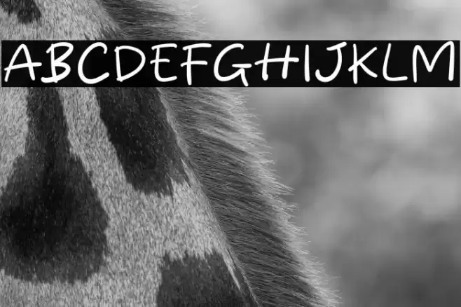 Handy Times Caratteri examples