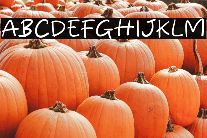 Handy Times Example 3